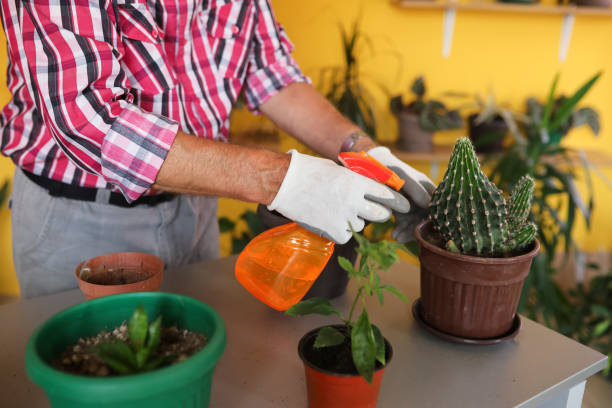 istock One senior man watering the plants 1331353853