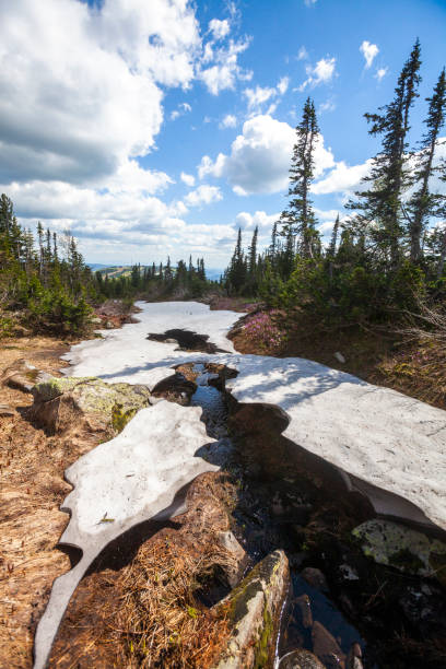 istock Stream and melting snow in the Sheregesh. Russia 1331354052