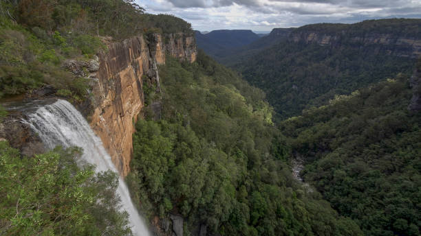 istock wide angle spring afternoon view of fitzroy falls 1331354748