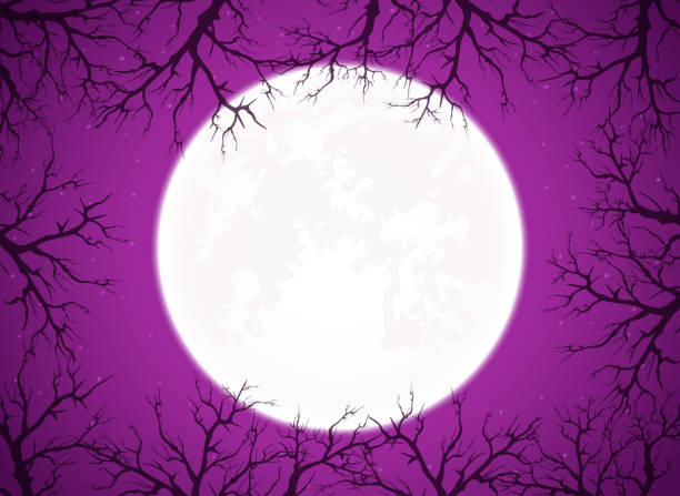 lila halloween hintergrund mit mond und bäumen - frame grunge halloween backgrounds stock-grafiken, -clipart, -cartoons und -symbole