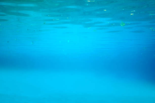 Summer time under water with ray of sunlight from surface for background concept design.