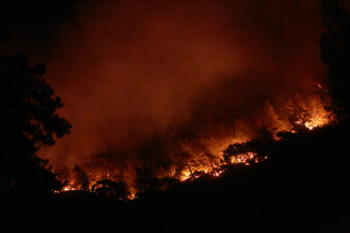Forest fire 2021 Marmaris, Turkey
