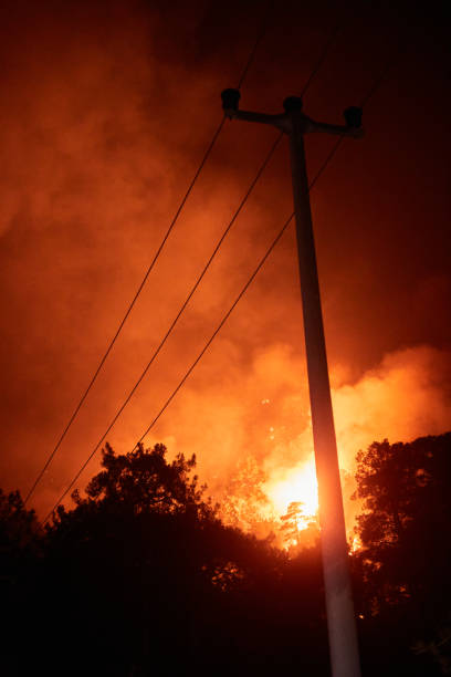 istock Forest fire 2021 Marmaris, Turkey 1331364153