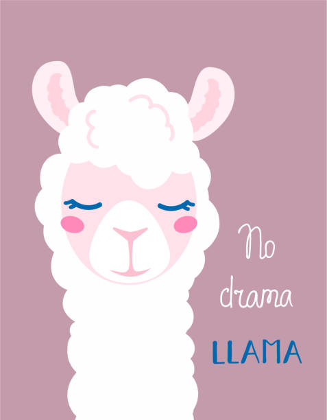 8,750 Cartoon Llama Illustrations & Clip Art - iStock