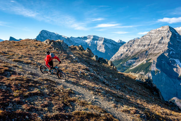 istock Mountain biker follows trail down mountain ridge 1331365293