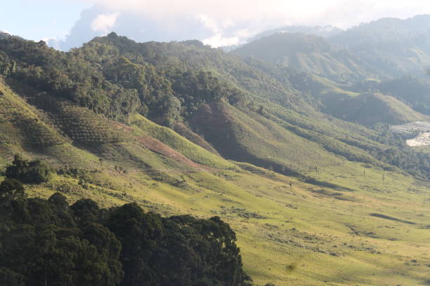istock Mountains in central Spring of Colombia 1331365605