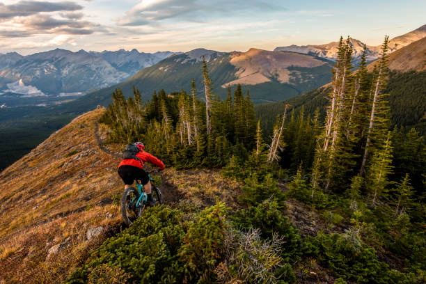 istock Mountain biker follows trail down mountain ridge 1331365916