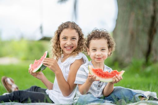 A girl and her little brother eat watermelon while sitting on a picnic blanket outside in the summertime. They are smiling and being silly.
