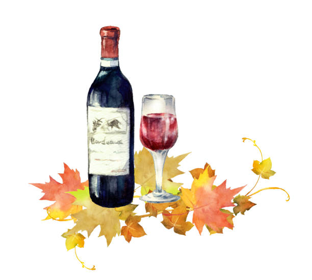 ilustraciones, imágenes clip art, dibujos animados e iconos de stock de vino tinto de acuarela con hojas de otoño - japanese maple autumn leaf tree