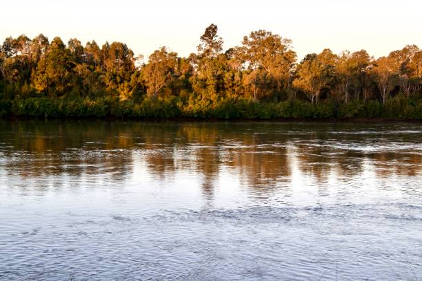 istock View from Rocks Riverside, Seventeen Mile Rocks, Brisbane 1331380583
