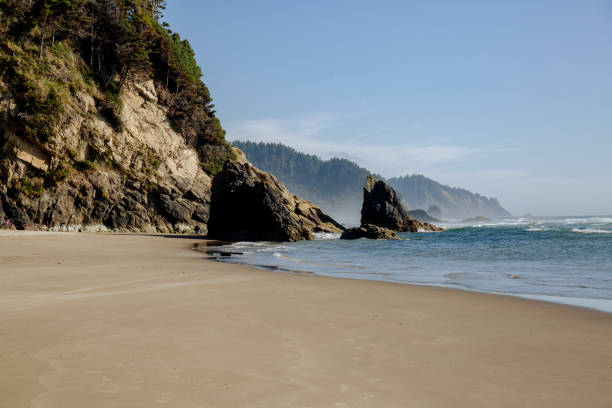 istock Summer on the Oregon Coast 1331382180