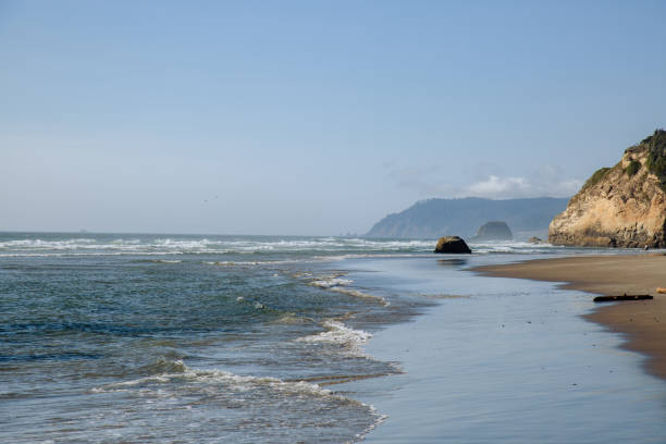 istock Summer on the Oregon Coast 1331382188
