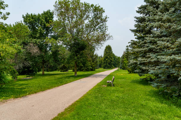 istock Footpath in Rotary Park, Peterborough, Canada 1331382200