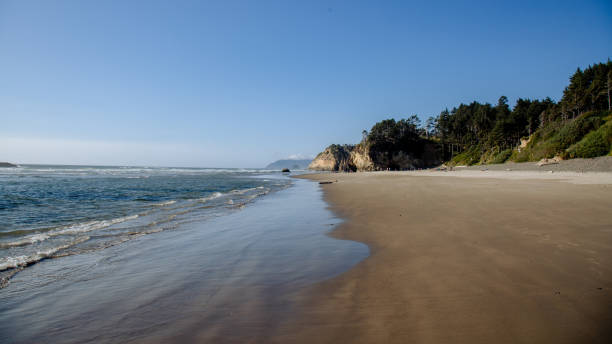 istock Summer on the Oregon Coast 1331382207