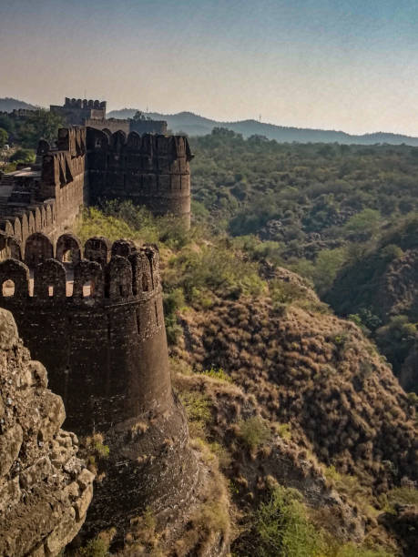 istock Wall of very defensive fort 1331384001