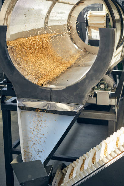 istock Golden wheat grains sorting, drying and peeling in the machine 1331391482