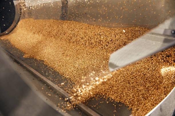 istock Golden wheat grains sorting, drying and peeling in the machine 1331391489