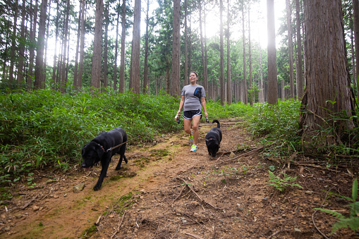 A mid age Japanese woman walking her two black dogs along a forest road.
