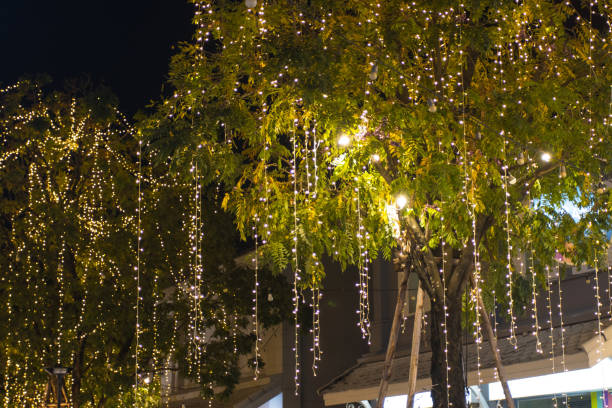 istock Blurred image Decorative outdoor string lights hanging on tree in the garden at night time 1331392371