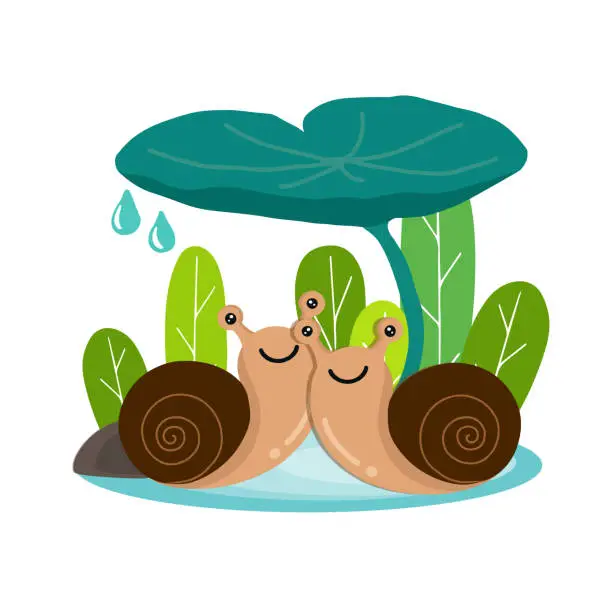 Vector illustration of Couple Snail sitting under leaf.