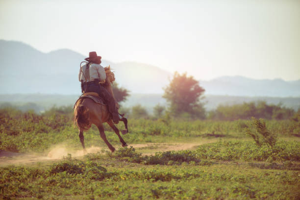 istock Cowboy riding a horse. 1331397502