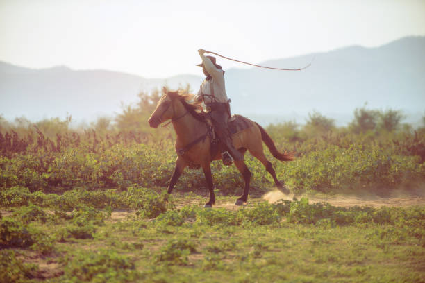 istock Cowboy riding a horse. 1331397504