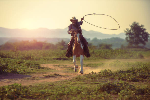 istock Cowboy riding a horse. 1331397508