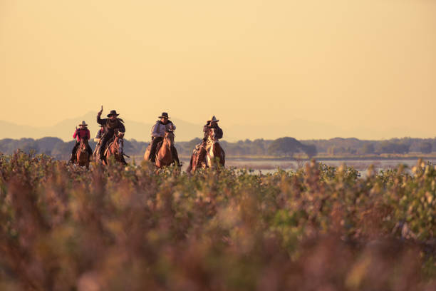 A horse ride in the mediterranean bush.