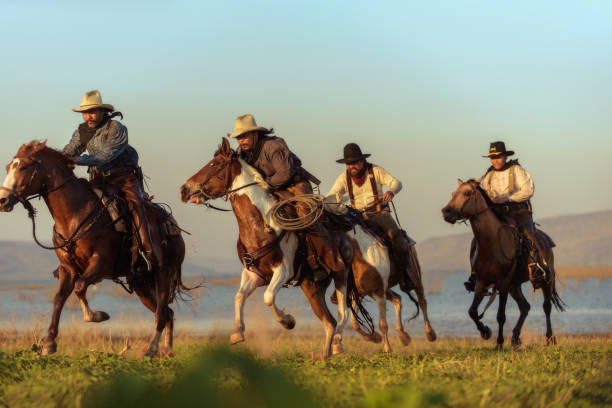 istock Cowboy riding a horse. 1331397513