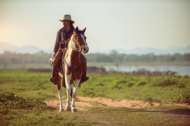 istock Cowboy riding a horse. 1331397517