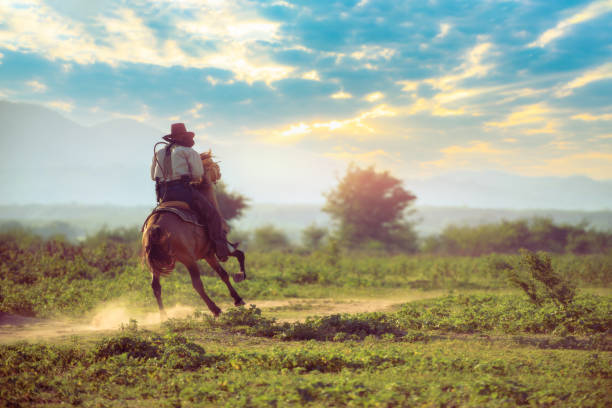 istock Cowboy riding a horse. 1331397524