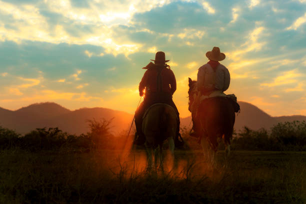 istock Cowboy riding a horse. 1331397528