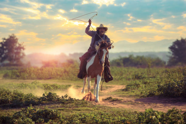 istock Cowboy riding a horse. 1331397534