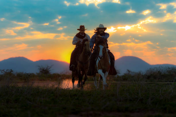 istock Cowboy riding a horse. 1331397535