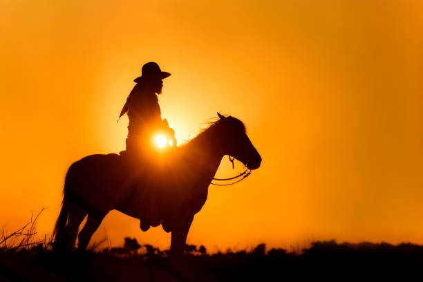istock Cowboy riding a horse. 1331397545