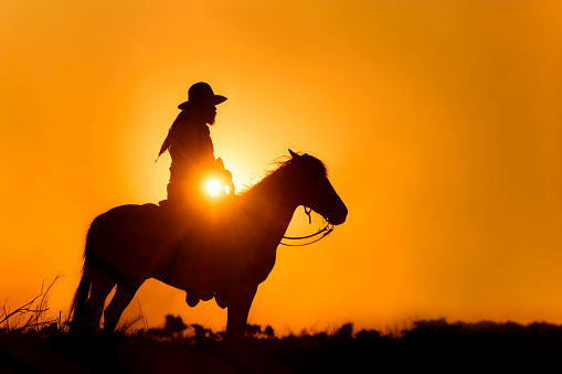silhouettes of cowboy riding horse against sunset