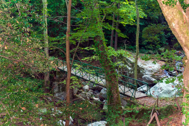 Wooden bridge in Pelion forest Wooden bridge in Pelion forest, Greece pilio greece stock pictures, royalty-free photos & images
