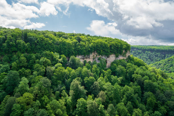istock mountains covered with green trees. trips to the mountains in the spring. 1331397565