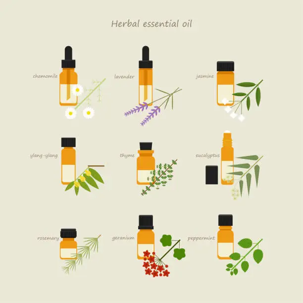 Vector illustration of Herbal essential oil leaf and bottle