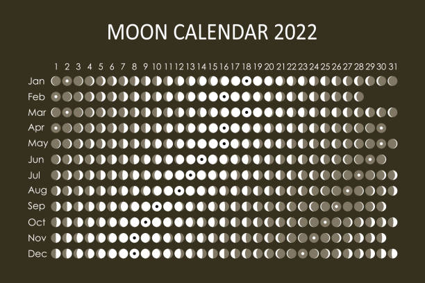 2022 moon calendar. astrological calendar design. planner. place for stickers. month cycle planner mockup. isolated black and white background - 月蝕 插圖 幅插畫檔、美工圖案、卡通及圖標
