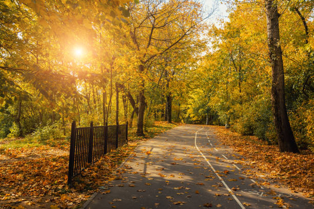 kolomenskoye park on autumn day. moscow - kolomenskoye imagens e fotografias de stock