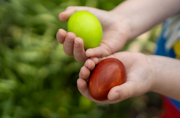 istock a boy holds green and brown Easter eggs in his hands in the garden 1331405344