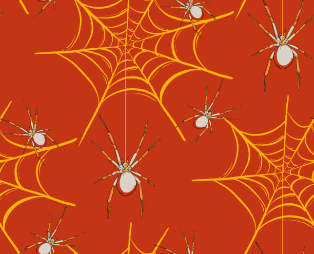 ilustrações de stock, clip art, desenhos animados e ícones de spider web network - small surface pattern orange contrast colors. tarantula web - silhouette spider tarantula backgrounds