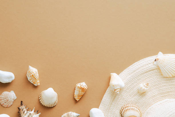 istock Summer flat lay composition with straw hat and seashells on sandy color background. Top view, overhead. 1331411566