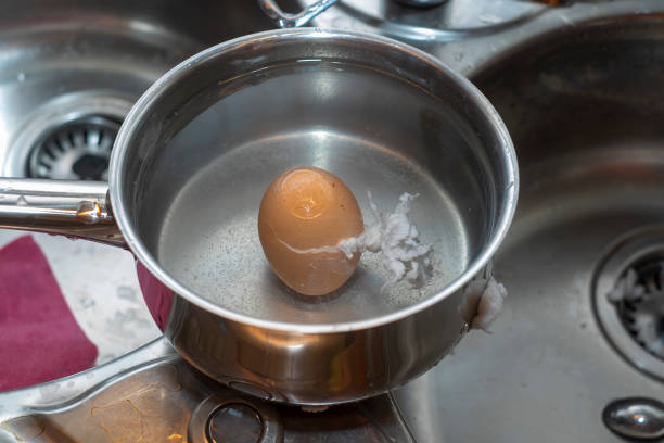 cracked egg shell stock photo