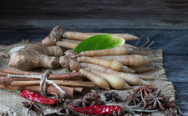 kaempferia, old ginger and spices, thai herbs prevent covid-19 - mortar and pestle spice seasoning coriander seed imagens e fotografias de stock