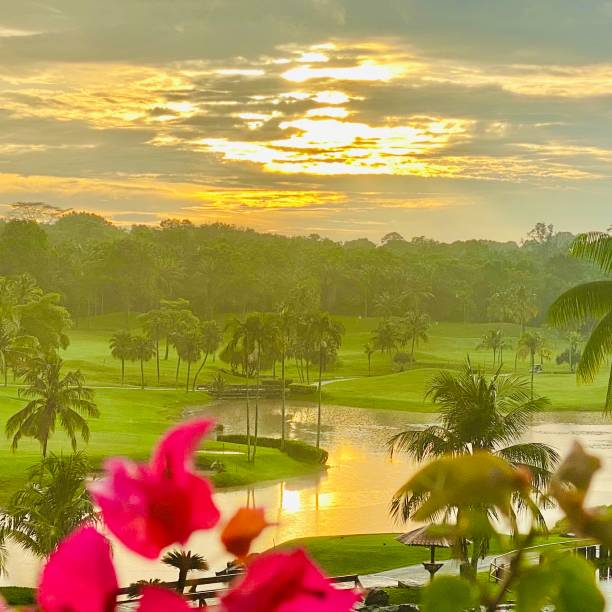 istock Nature Back Ground: Asian Golf Course in Johor, Malaysia 1331418325