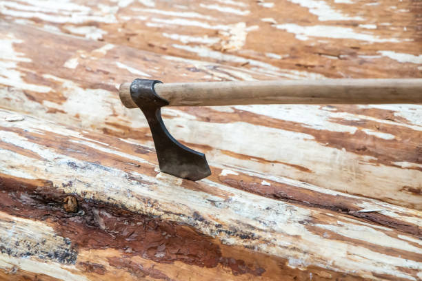 istock sharp ax is stuck in the trunk of a tree start of construction 1331424374