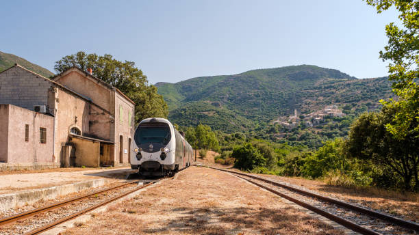 Train passing Palasca Station in Corsica stock photo