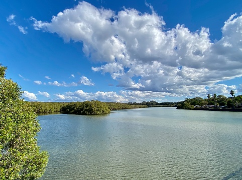 Horizontal landscape of Brunswick Heads River water and with horizon line of green native Australian tree mangrove marsh under a blue cloudy sky near Byron Bay NSW Australia